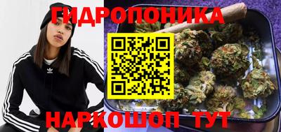 крисы Северобайкальск